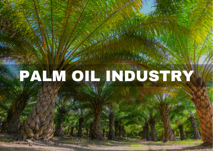 PALM OIL INDUSTRY